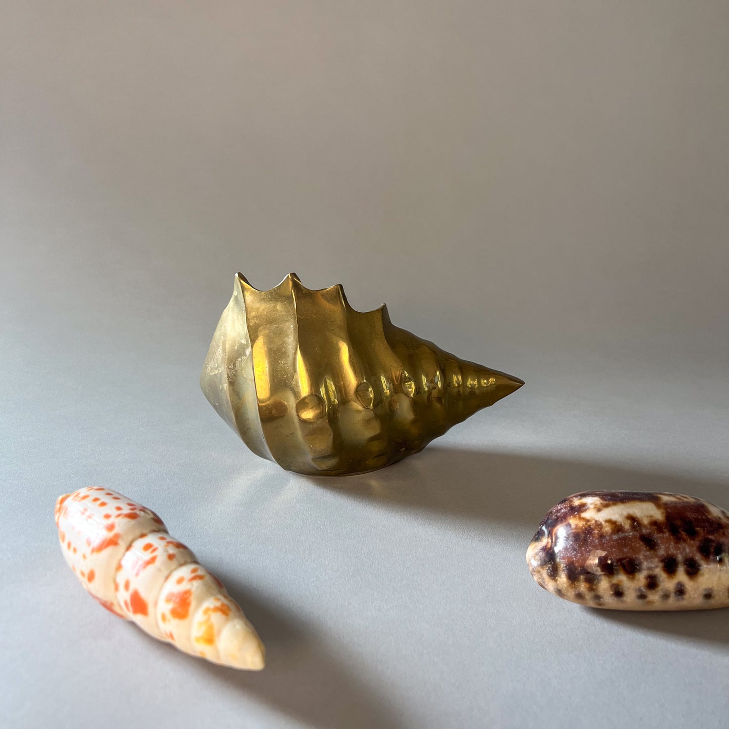 brass conch shell vase