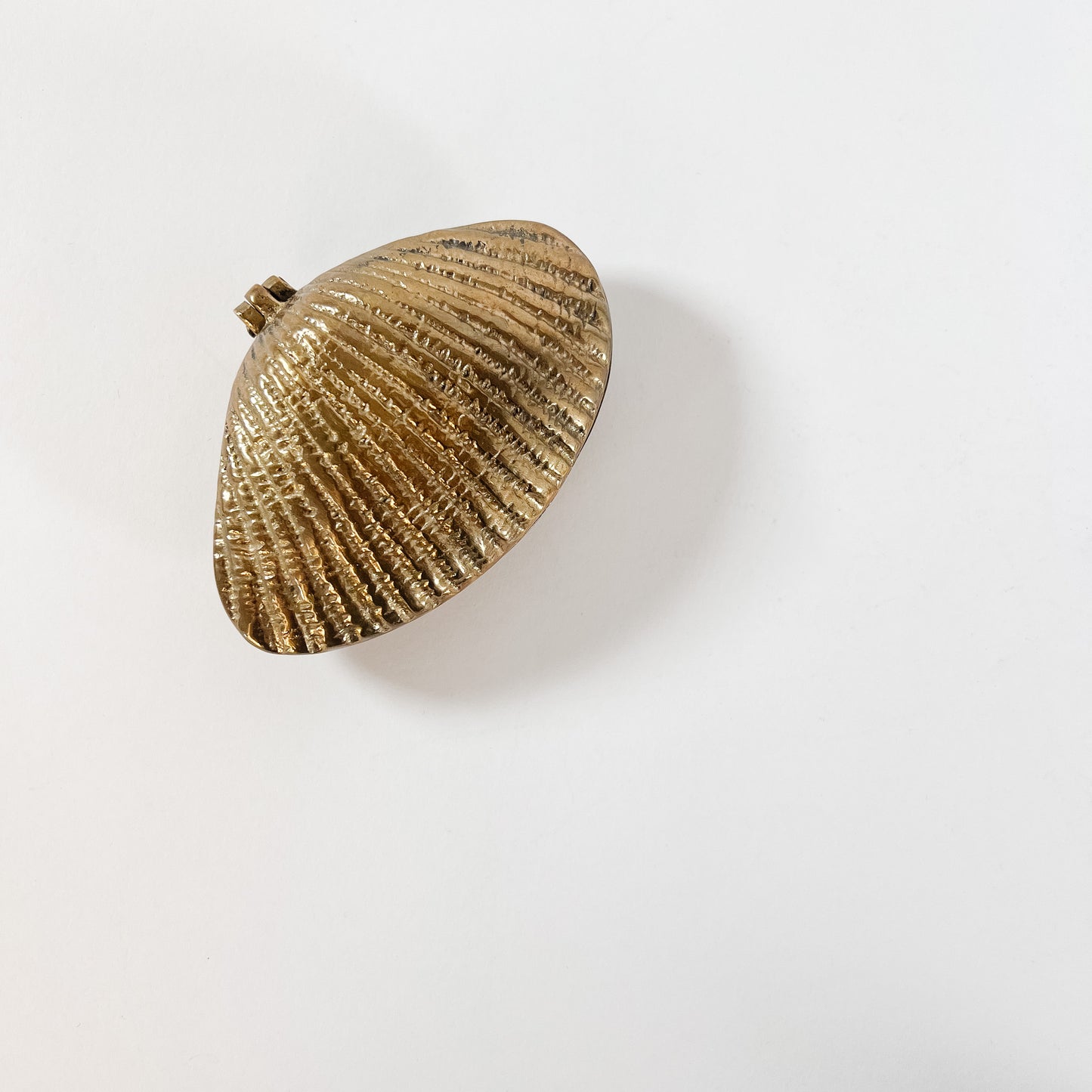 shell trinket dish